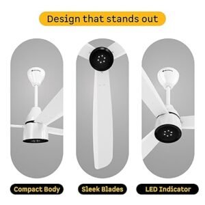 71kC11Q GeL. SX425 300x300