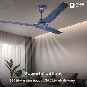 81GG3RcpjML. SX425 300x300