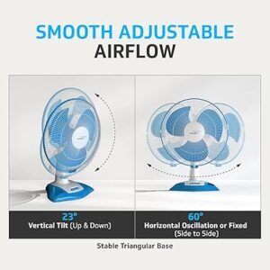 81T3IhWW2FL. SX425 300x300