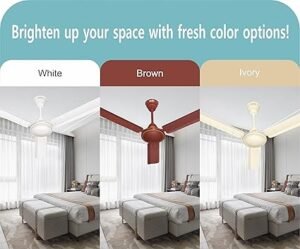 81pLOoPod6L. SX425 300x249